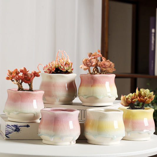 Pastoral Ceramics Succulent Plant Small Flower Pot